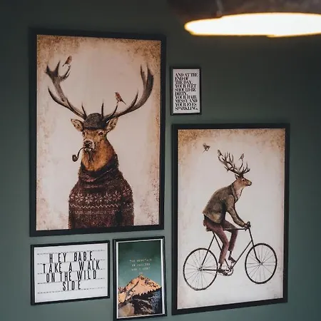 酒店 Sportalm - Adults Only Boutique 巴德小基希海姆